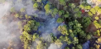 Bozdoğan'daki orman yangınına havadan ve karadan müdahale sürüyor