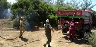 Çanakkale'de Orman İşletme Şefi Yangın Sonrası Görevine Devam Etti