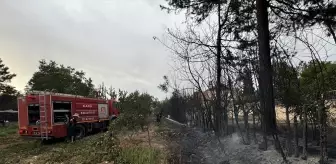 Elazığ'da çıkan yangın kontrol altına alındı