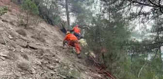 Göynük'teki Orman Yangınına Gönüllülerden Destek