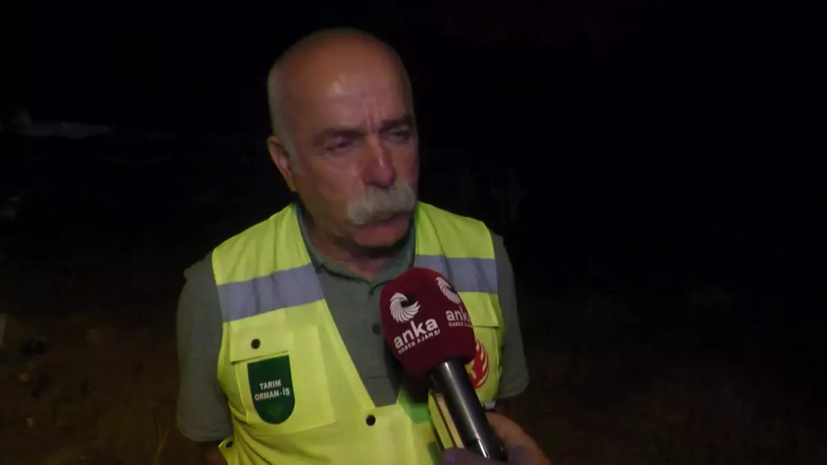 İzmir Yangınlarında Son Durum... Tarım Orman-İş Sendikası Genel Başkanı Durmuş: "2 Bin Hektarın Üzerinde Alan Yanmış Durumda"