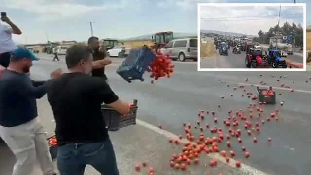 Farmers in Kahramanmaraş staged a protest! They spilled crates of tomatoes on the road.