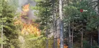 Karabük'teki orman yangını rüzgarın etkisiyle yayılıyor