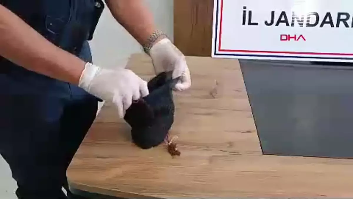 Kendisini polis olarak tanıtan şüpheli yakalandı