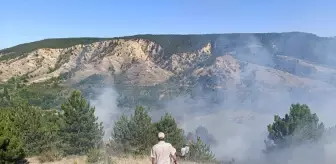 Konya'nın Doğanhisar ilçesinde ormanlık alanda çıkan yangın söndürüldü