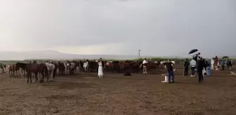 Hürmetçi Sazlığı'nın doğal güzellikleri keşfedilmeyi bekliyor