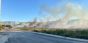 Silifke'de çıkan yangın söndürüldü