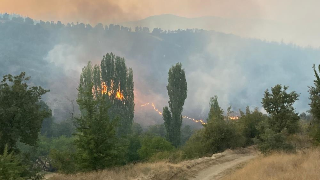 Orman yangınlarıyla ilgili gözaltına alınan 11 kişiden 5'i tutuklanarak cezaevine gönderildi