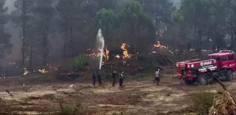 Aydın Bozdoğan'da Karşı Ateşle Orman Yangını Kontrol Altına Alındı