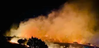 Tunceli'de çıkan orman yangınının sebebi açıklandı