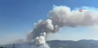 Uşak'ta otluk alanda çıkan yangına müdahale devam ediyor