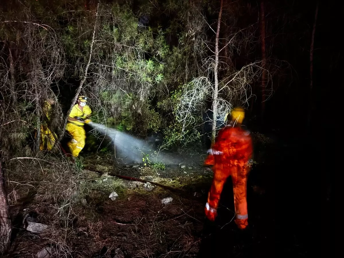Bodrum'da çıkan orman yangını kontrol altına alındı