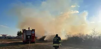 Tekirdağ'ın Kapaklı ilçesinde anız yangını söndürüldü