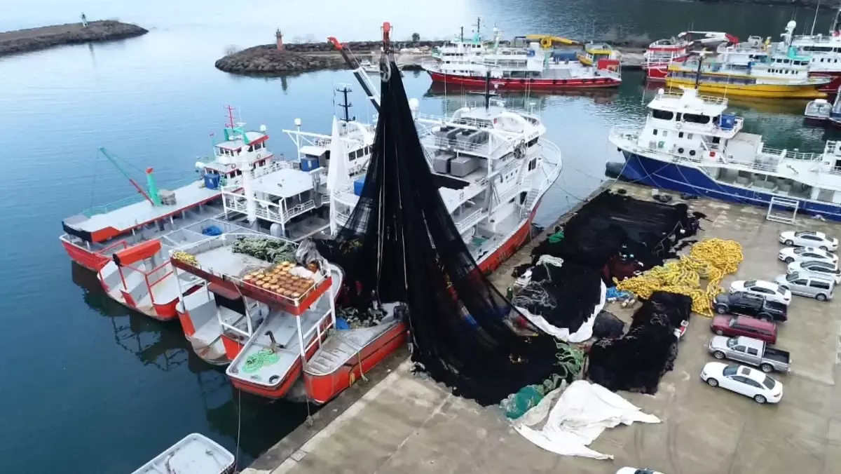 Karadeniz'de Hayalet Ağlar Deniz Ekosistemini Tehdit Ediyor