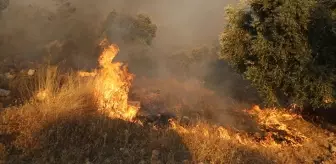 Uyarılar çare etmiyor! Bir noktada daha orman yangını başladı, hızla yayılıyor