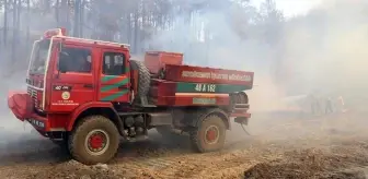 Muğla'nın Yatağan ilçesindeki orman yangınında baba ile oğlu gözaltında