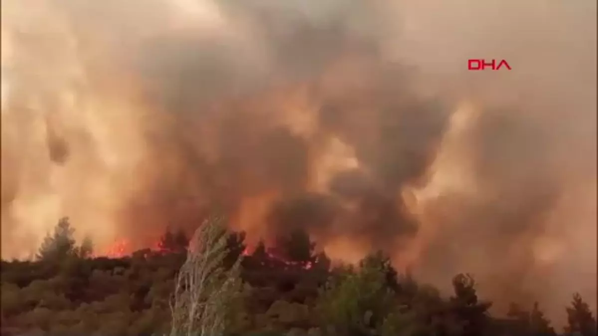 Yatağan'da çıkan yangında arı kovanları zarar gördü