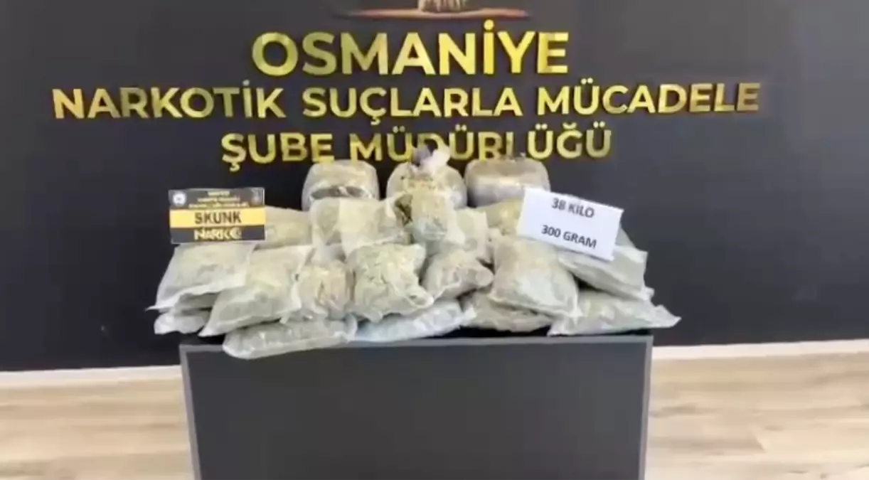 Osmaniye'de 38 Kilo Skunk Ele Geçirildi