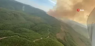 Azerbaycan'ın gönderdiği amfibi uçağı yangın söndürme çalışmalarını sürdürüyor