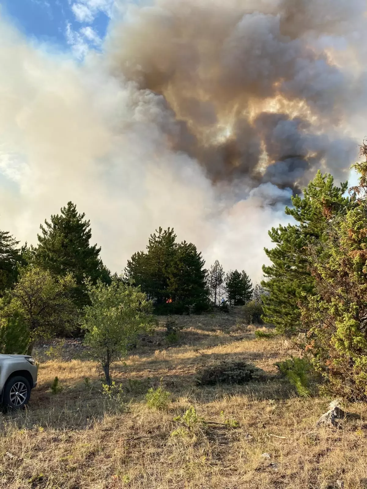 Çankırı Ilgaz'da Orman Yangını: Havadan ve Karadan Müdahale Başlatıldı