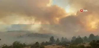 Çankırı'daki orman yangınına havadan ve karadan müdahale sürüyor