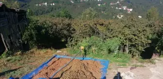 Espiye Ziraat Odası Başkanı Üreticilere Fındık Satışı Konusunda Tavsiyelerde Bulundu