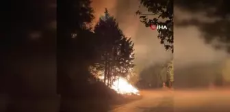 Hatay'da ağaçlık alanda çıkan yangın büyümeden söndürüldü