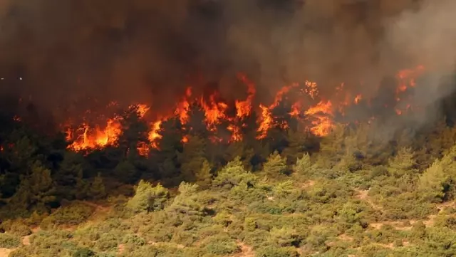 The forest fires in Manisa and Uşak have been brought under control.