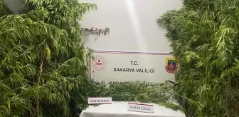 Sakarya'da uyuşturucu operasyonu: 3 kilogram esrar ele geçirildi