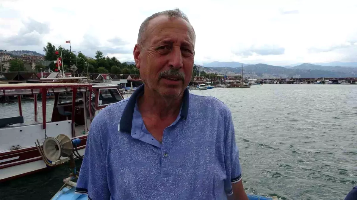 Palamut ve istavrit balığı umut verici görüntüleriyle balık av sezonuna hazırlanıyor