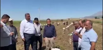 CHP Milletvekili Gürer, Patates Üreticilerinin Sorunlarını Dinledi