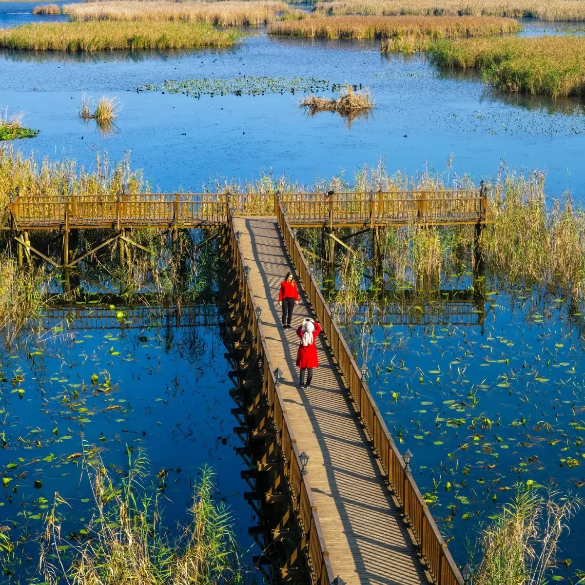 Efteni Gölü, doğa ve kuş gözlemcilerini hayran bırakıyor