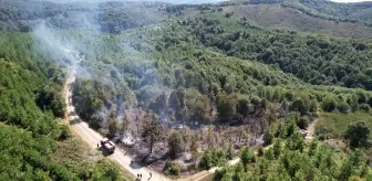 Sakarya'da Fındık Filizlerinin Yakılması Sonucu Çıkan Yangın Kontrol Altına Alındı