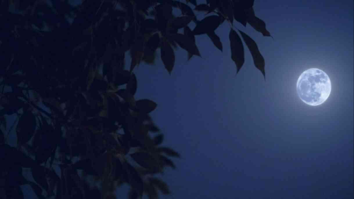 Süper Ay ne zaman, saat kaçta görülecek? 2024 Mavi Ay (Süper Dolunay) hangi gün gerçekleşecek? Dolunay etkileri ne kadar sürer?