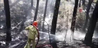 Ula'da ekipler alevlerin yeniden yükselmesine izin vermiyor