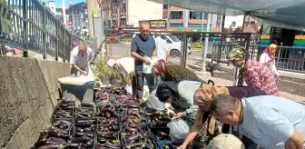 Zonguldak'ın Ereğli ilçesinde Ziraat Odası Başkanı 5 ton patlıcanı bedava dağıttı