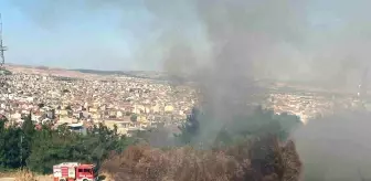 Balıkesir'de Çamlık Mesire Alanında Arazi Yangını