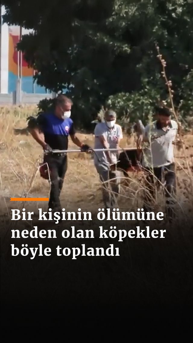 https://foto.haberler.com/haber/2024/08/20/bir-kisinin-olumune-neden-olan-kopekler-boyle-toplandi_9234_o.jpg