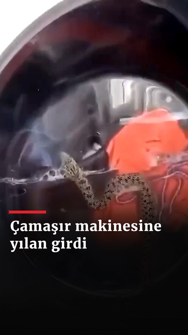 https://foto.haberler.com/haber/2024/08/20/camasir-makinesine-yilan-girdi_8564_o.jpg