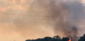 Keşan'da çıkan anız yangını ormana sıçradı