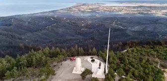 Tarihi Gelibolu Yarımadası'nın Kuzey Hattı Yangın Sonrası Ziyarete Açıldı