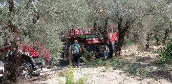 Hatay'ın Altınözü ilçesinde zeytin bahçesinde çıkan yangın söndürüldü