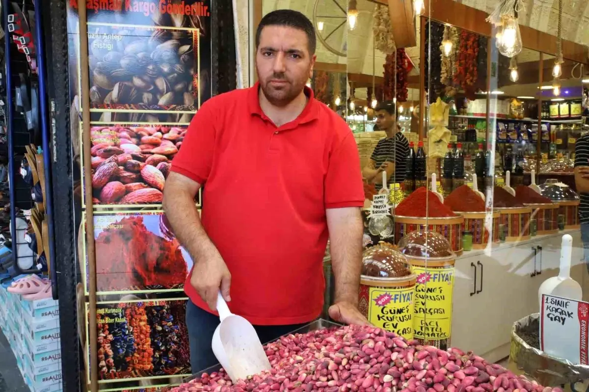 Gaziantep'te Ben Fıstıklar Tezgahlardaki Yerini Aldı