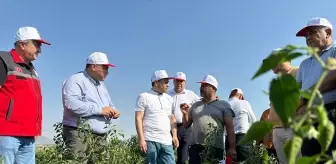 AK Parti Milletvekili Ali Şahin Gaziantep'te çiftçilerle buluştu