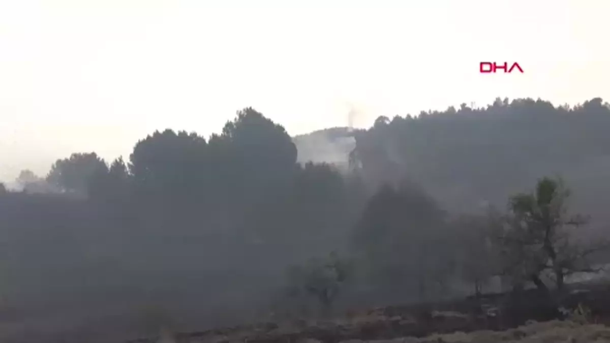 Ankara'daki orman yangının sıçradığı Demirler Köyü tedbir amacıyla boşaltılıyor