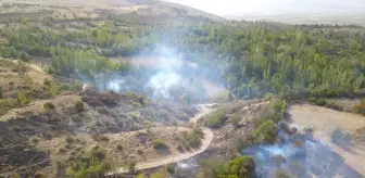 Burdur'da çıkan yangın ormanlık alana sıçramadan söndürüldü