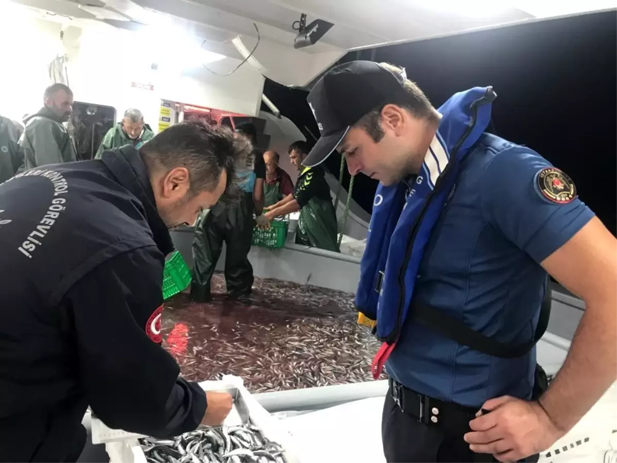 Hamsi Avcılığına Kota Uygulaması Getirildi