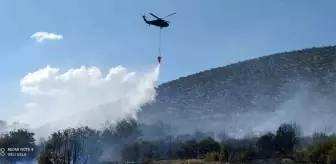 Isparta'da çıkan orman yangını hızlı müdahale ile söndürüldü