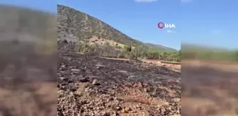 Isparta'da çıkan orman yangını hızlı müdahale ile söndürüldü