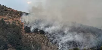 Ankara ve Bolu'da Orman Yangını Kontrol Altına Alındı